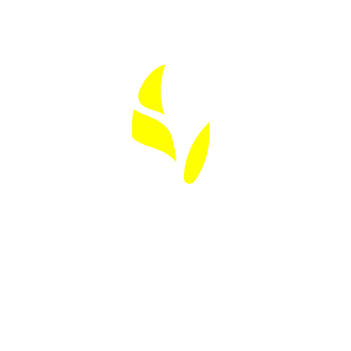 PortaBrew